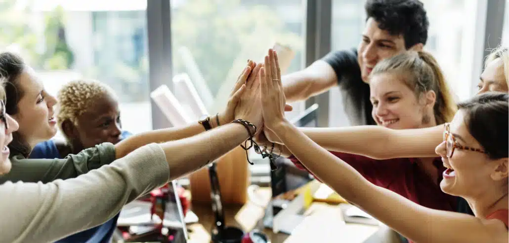 network security partner