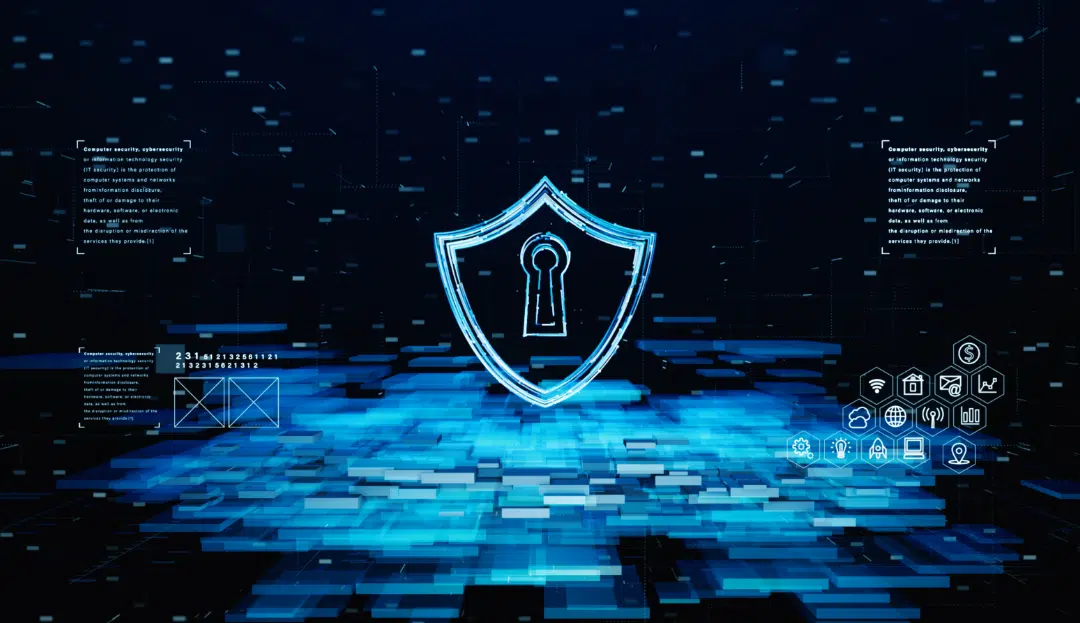 Miami Network Management Services