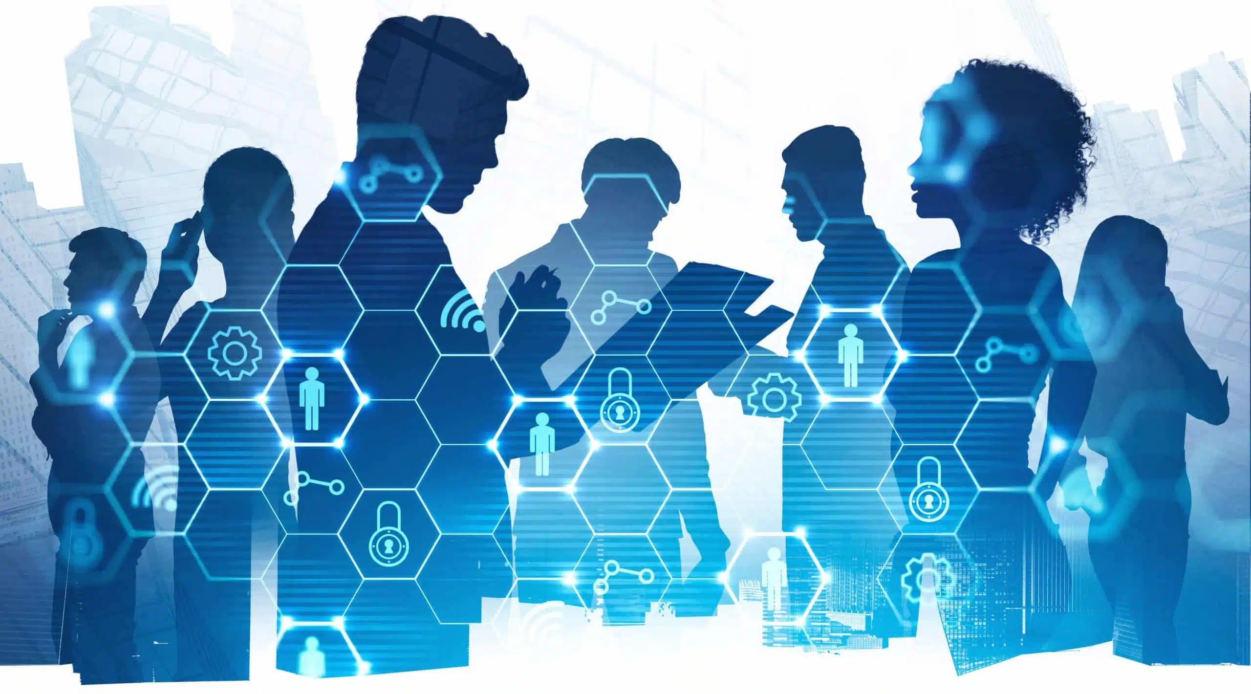 Jacksonville Network Management Services