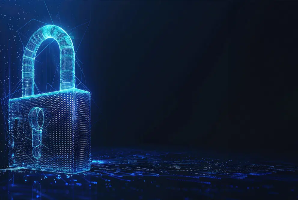 Fort Lauderdale Network Management Services