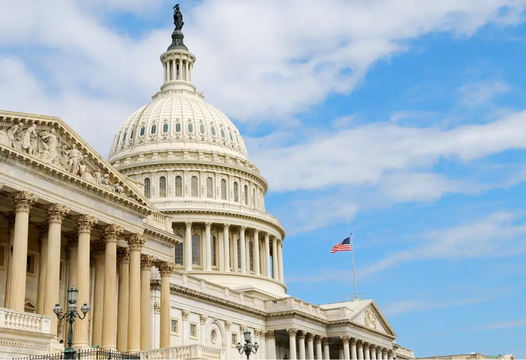 Government IT Support Co-Managed