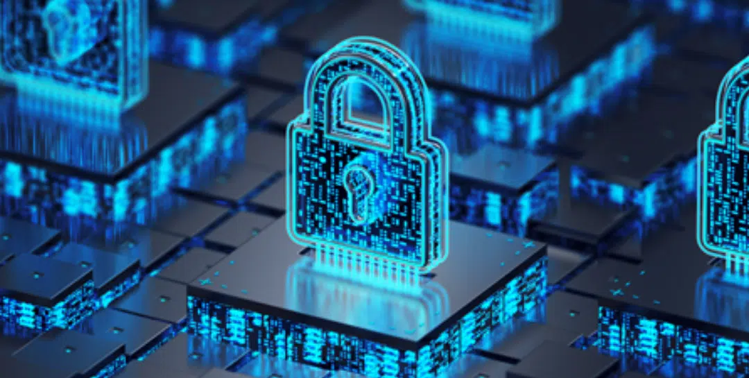 Fort Lauderdale VCIO/CTO Services