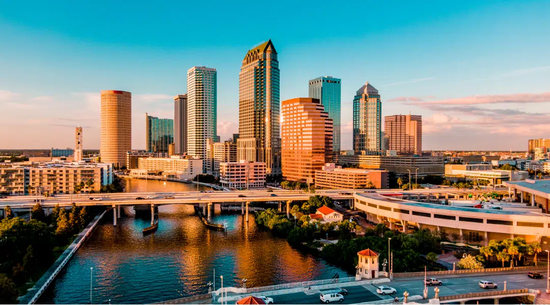 Tampa IT Services