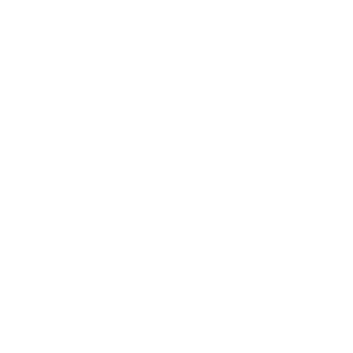 Lightning bolt icon